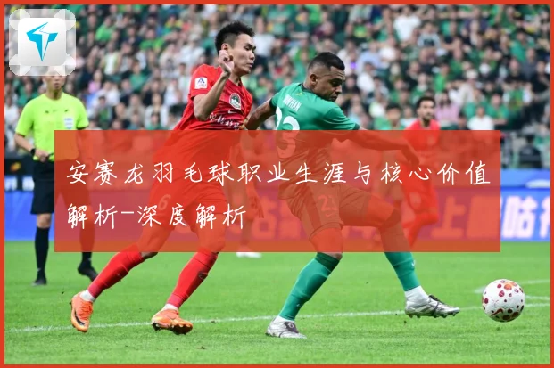 安赛龙羽毛球职业生涯与核心价值解析-深度解析