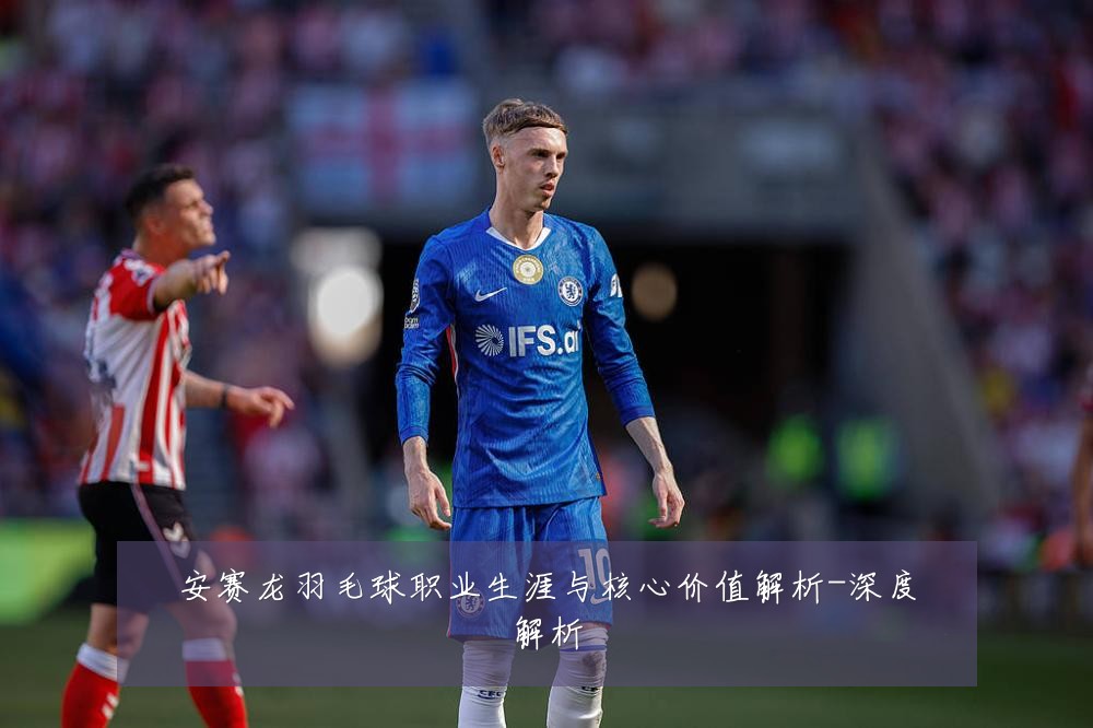 安赛龙羽毛球职业生涯与核心价值解析-深度解析